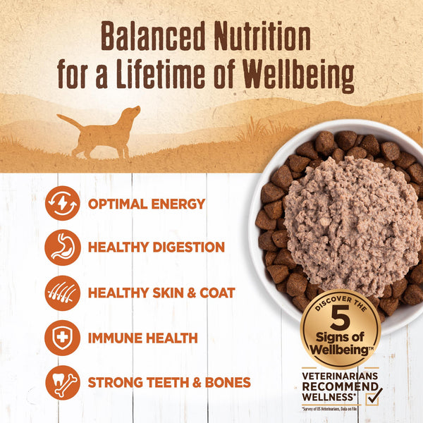 Wellness 95% Turkey Grain-Free Wet Dog Food Can