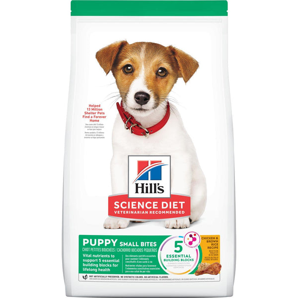 Hill's Science Diet Croquettes Puppy Small Bites au poulet et riz brun pour chiots