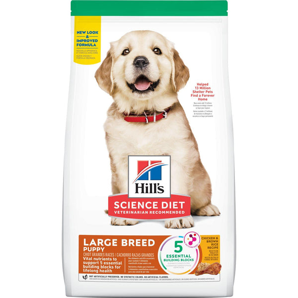 Hill's Science Diet Croquettes Puppy Large Breed au poulet et riz brun pour chiots de grande race