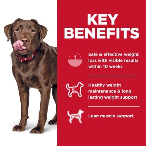 Hill's Science Diet Adult Perfect Weight Large Breed Chicken Dry Dog Food