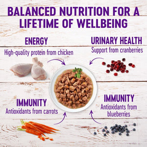 Wellness Healthy Indulgence Morsels with Chicken & Chicken Liver in Savory Sauce Grain-Free Wet Cat Food Pouches