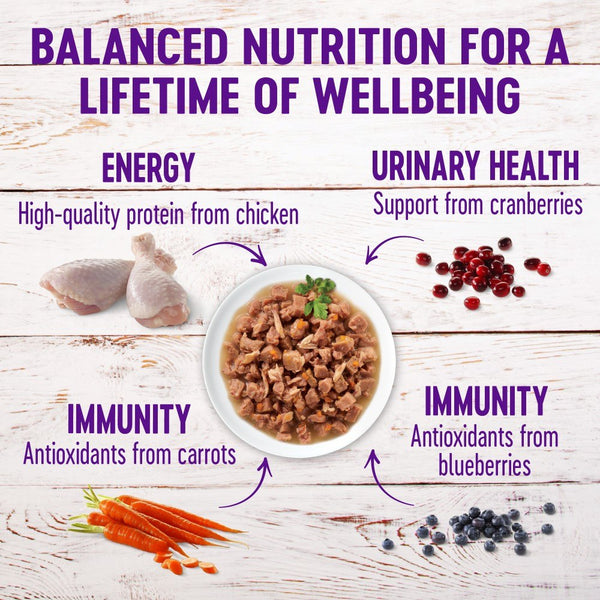 Wellness Healthy Indulgence Morsels with Chicken & Chicken Liver in Savory Sauce Grain-Free Wet Cat Food Pouches