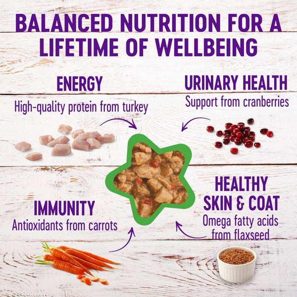 Wellness Complete Health Grain-Free Minced Turkey Entree Wet Cat Food Cans