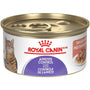 Royal Canin Feline Care Nutrition Appetite Control Care Loaf in Sauce Wet Cat Food Can