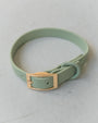 Dexypaws Collier imperméable pour chiens, Vert Sauge
