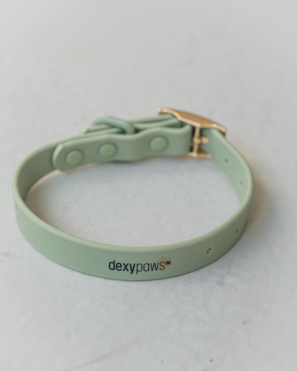 Dexypaws Collier imperméable pour chiens, Vert Sauge