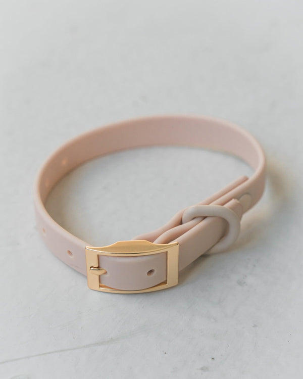 Dexypaws Collier imperméable pour chiens, Nude