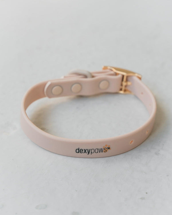 Dexypaws Collier imperméable pour chiens, Nude
