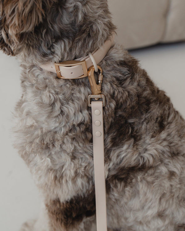 Dexypaws Collier imperméable pour chiens, Nude
