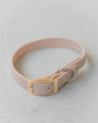 Dexypaws Collier imperméable pour chiens, Nude