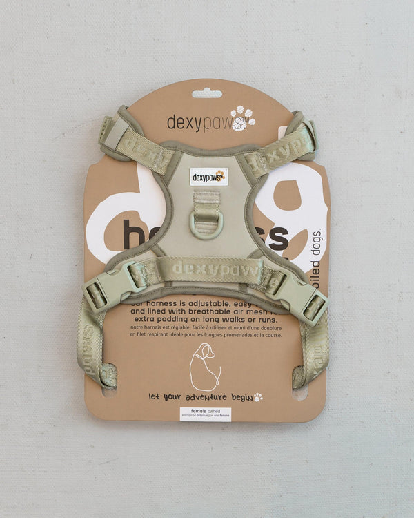 Dexypaws Harnais anti-traction pour chiens, Vert Sauge