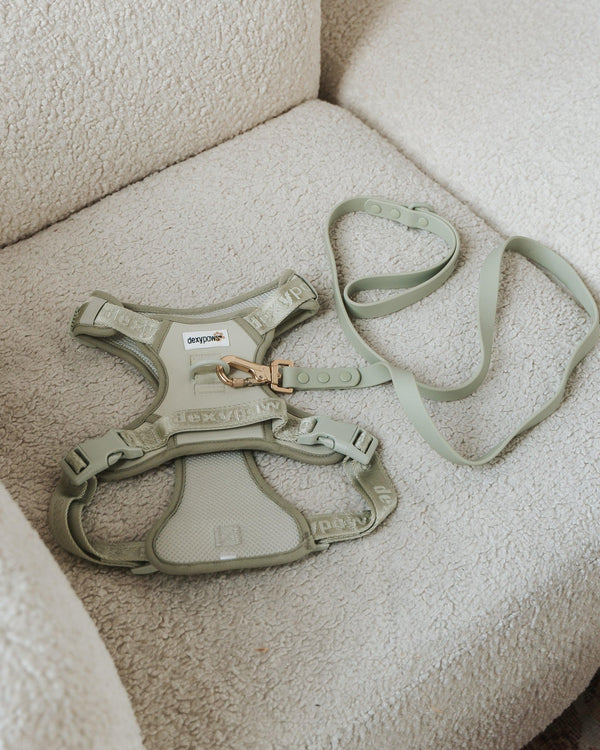 Dexypaws Harnais anti-traction pour chiens, Vert Sauge