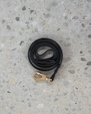 Dexypaws Waterproof Dog Leash, Black