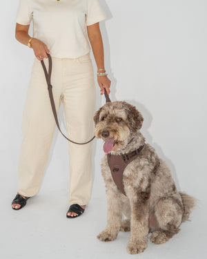 Dexypaws Waterproof Dog Leash, Espresso