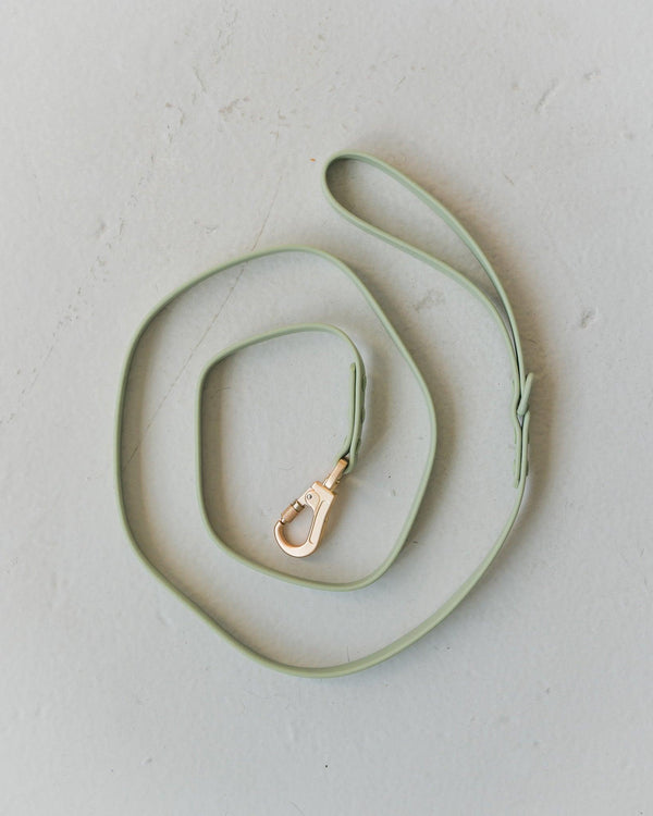Dexypaws Waterproof Dog Leash, Sage Green
