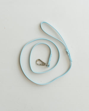 Dexypaws Waterproof Dog Leash, Sky Blue