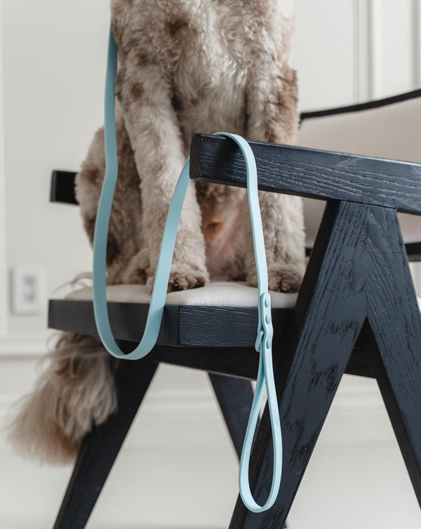Dexypaws Laisse imperméable pour chien, Bleu ciel