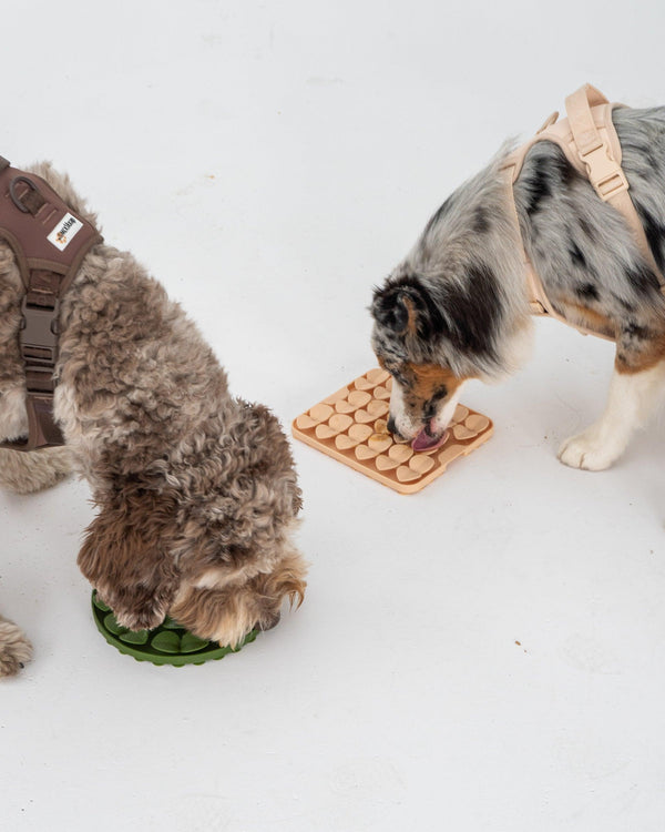 Dexypaws Tapis à renifler en silicone pour chien, beige