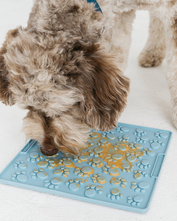 Dexypaws Tapis à lécher enrichissant empreinte de patte pour chien, bleu