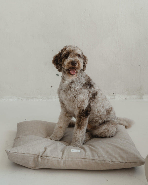Dexypaws Dog Bed