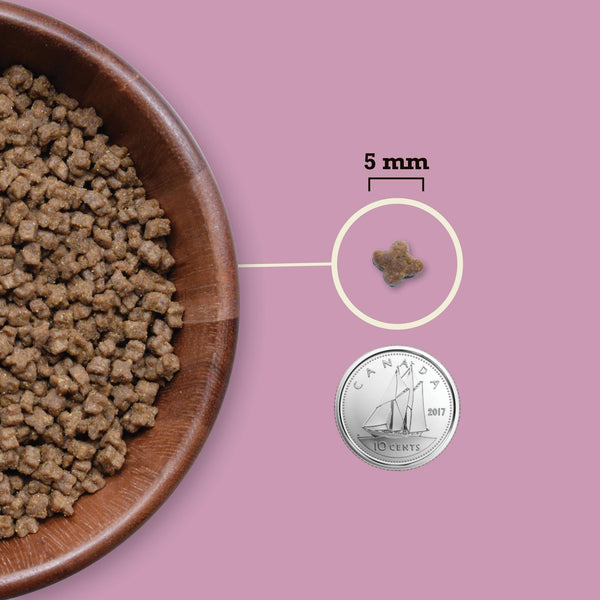 ACANA Highest Protein Kitten Dry Cat Food (CA)
