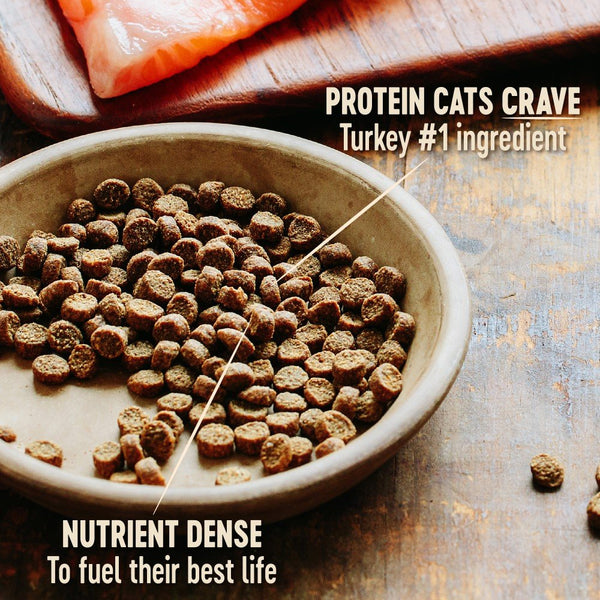 Wellness CORE Grain-Free Kitten Formula Dry Cat Food