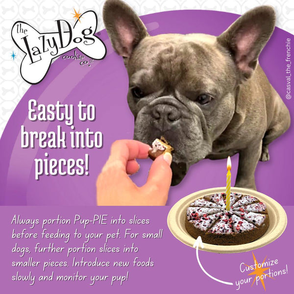 The Lazy Dog Cookie Co. Le Vrai Pup-PIE Joyeux Anniversaire pour un Chien Spécial Friandises pour chiens