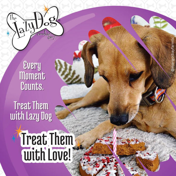 The Lazy Dog Cookie Co. Le Vrai Pup-PIE Joyeux Anniversaire pour un Chien Spécial Friandises pour chiens