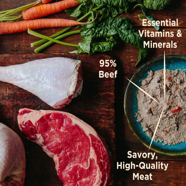 Wellness CORE 95% Grain-Free Beef & Carrots Wet Dog Food Can
