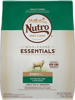 Nutro Wholesome Essentials Recette Agneau élevé en pâturage et riz pour chiots Croquettes pour chien