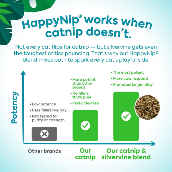 SmartyKat Instincts Chatty Chirp HappyNip Jouet électronique pour chat avec sons