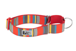 RC Pets Easy Clip Web Training Dog Collar, Multi Stripes