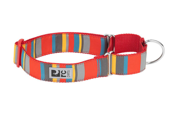 RC Pets Collier d'entraînement Easy Clip Web, Multi Stripes