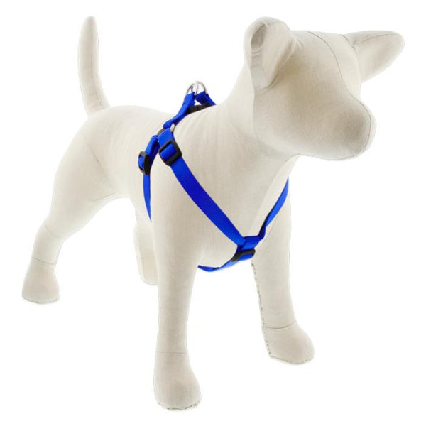Lupine Pet Harnais chien Basic Solids Step In, bleu