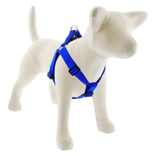 Lupine Pet Harnais chien Basic Solids Step In, bleu