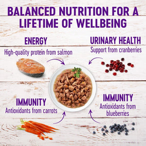 Wellness Healthy Indulgence Morsels with Salmon & Tuna in Savory Sauce Grain-Free Wet Cat Food Pouches