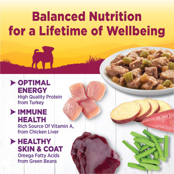Wellness Petite Entrees Mini-Filets with Tender Turkey, Green Beans & White Sweet Potatoes in Gravy Grain-Free Wet Dog Food