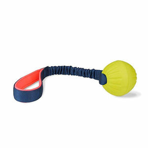The Company of Animals Coachi Tuggi Ball Dog Toy