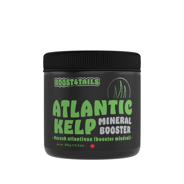 H 4 Tails Boost 4 Tails Atlantic Kelp Dog & Cat Supplement