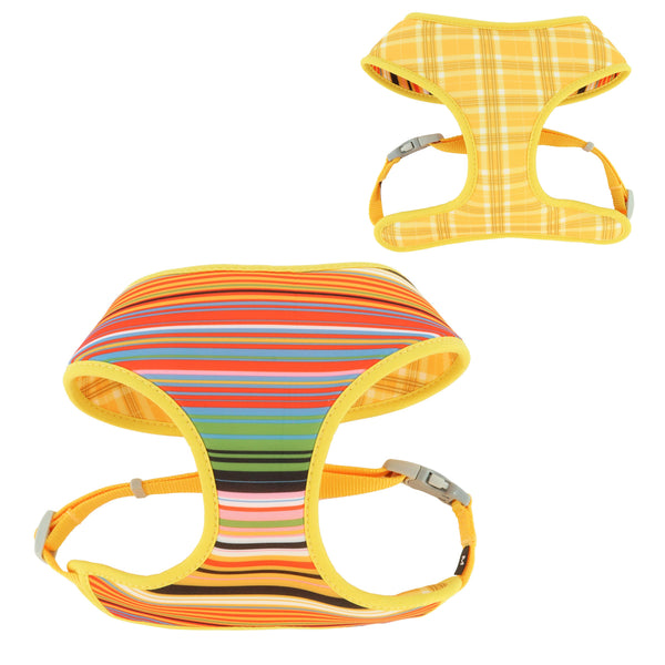 Sublime Harnais réversible pour chiens, Sublime Stripe avec carreaux dorés