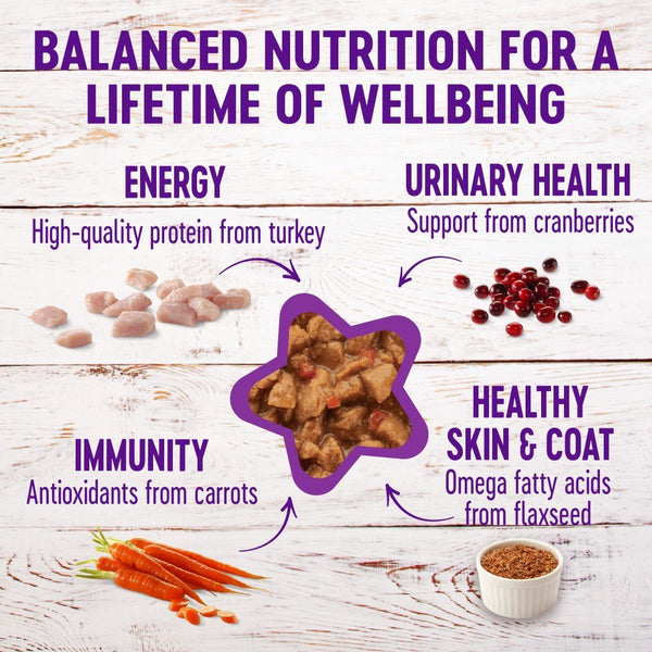 Wellness Complete Health Grain-Free Minced Turkey & Salmon Entree Wet Cat Food Cans