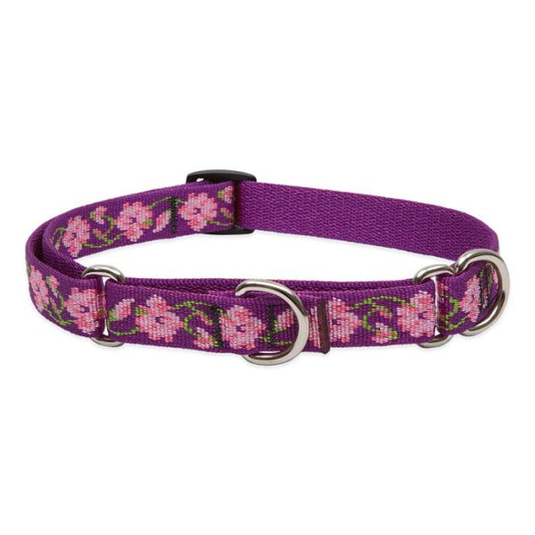 Lupine Pet Original Designs Martingale Dog Collar, Rose Garden