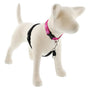 Lupine Pet Basic Solids No Pull Dog Harness, Black