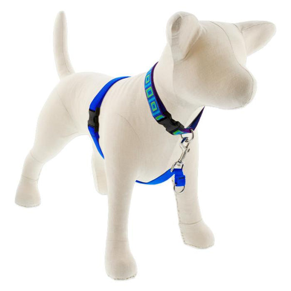 Lupine Pet Basic Solids No Pull Dog Harness, Blue