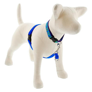 Lupine Pet Basic Solids No Pull Dog Harness, Blue