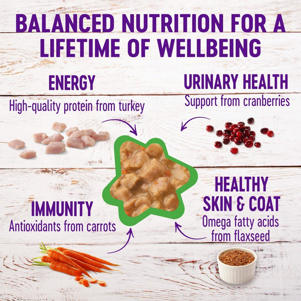 Wellness Complete Health Grain-Free Gravies Turkey Dinner Wet Cat Food Cans