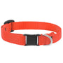 Lupine Pet Basic Solids Collier de sécurité pour chats, Orange Flamme