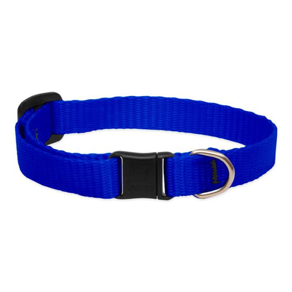 Lupine Pet Collier de sécurité Basic Solids pour chats, Bleu