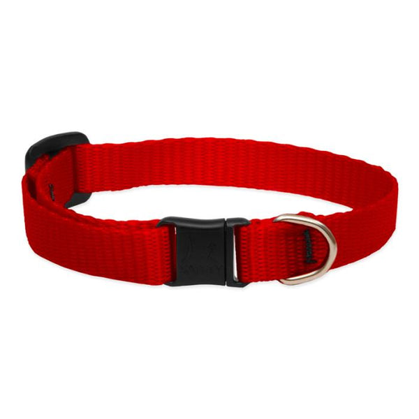 Lupine Pet Collier de sécurité Basic Solids pour chats, Rouge