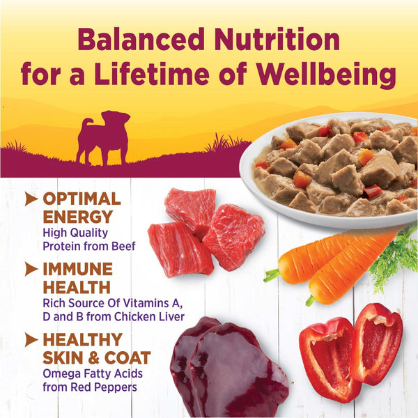 Wellness Petite Entrees Mini-Filets with Roasted Beef, Carrots & Red Peppers in Gravy Grain-Free Wet Dog Food